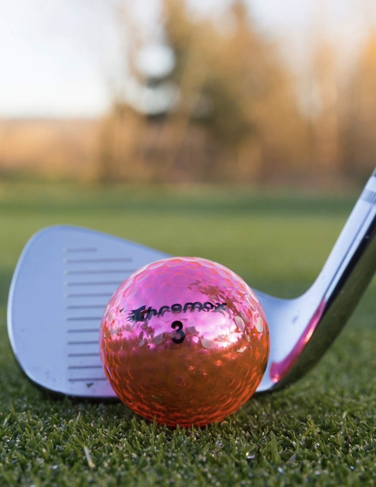 Schermafbeelding 2022-03-03 om 15.34.50